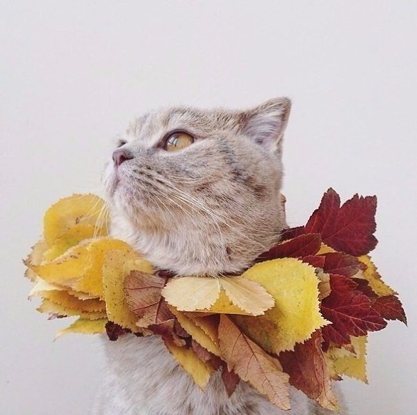    - 3
