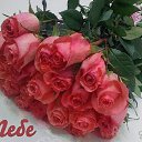 ���� �������, ������, 60 ��� - ��������� 23 ������ 2018 � ������ �������