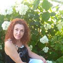 ���� �����, ������� - ��������� 12 ������ 2018