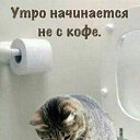 ���� ��������, ���������, 49 ��� - ��������� 19 ������ 2019 � ������ ������ ��������