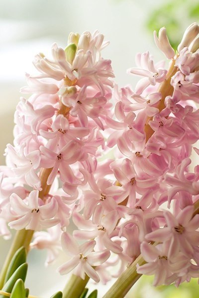  ).      , ,     ... - 5