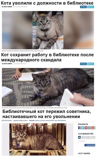 ~**~ - 22  2019  11:51