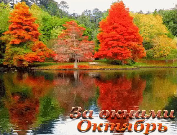 Подари мне, Осень, злато листопада, Подари мне, Осень, сказочный закат, Не дари дожди мне, я прошу, ...