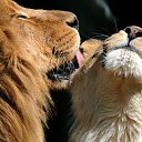 ���� ����, �������������, 45 ��� - ��������� 23 ������� 2019