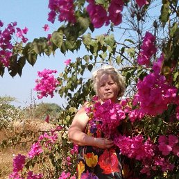 ���� �������, ������, 71 ��� - ��������� 15 �������� 2018