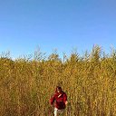 ���� �����, ����, 60 ��� - ��������� 7 ������� 2018 � ������ ���� ����������