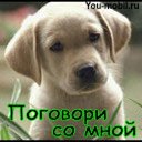 ���� ������, ������������, 51 ��� - ��������� 17 ������ 2019