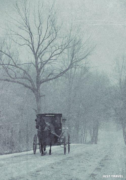 Allworld |    - 5  2018  16:34 - 4