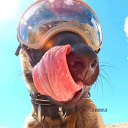 ���� ������, ������ - ��������� 30 ������ 2019