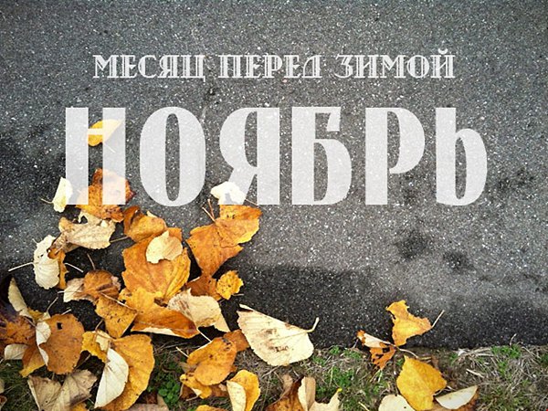   ,    . - 1  2018  16:10 - 4