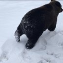 ���� ���������, ���������, 45 ��� - ��������� 12 ������� 2018 � ������ ���� ����������