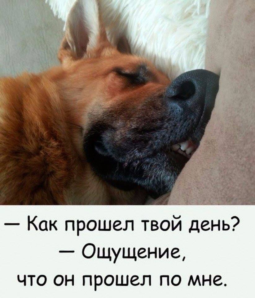  - 16  2018  20:05