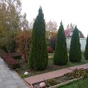 ���� Leo, ������, 76 ��� - ��������� 2 ������� 2018 � ������ ���� ����������