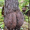  ••,  -  13  2018   - ))