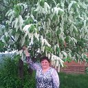 ���� �����, �������, 61 ��� - ��������� 14 ������� 2019