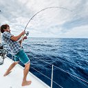 ���� �����, ����� - ��������� 11 �������� 2018 � ������ �����