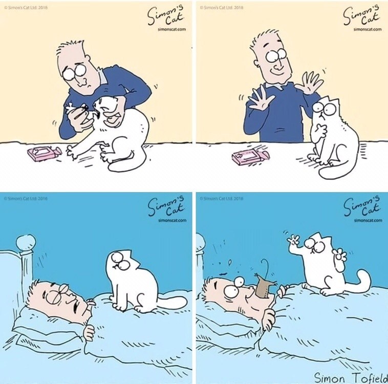  - ,   