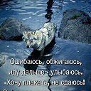 ���� �����, ������, 50 ��� - ��������� 2 ������� 2018