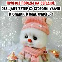  , --, 57  -  13  2019    