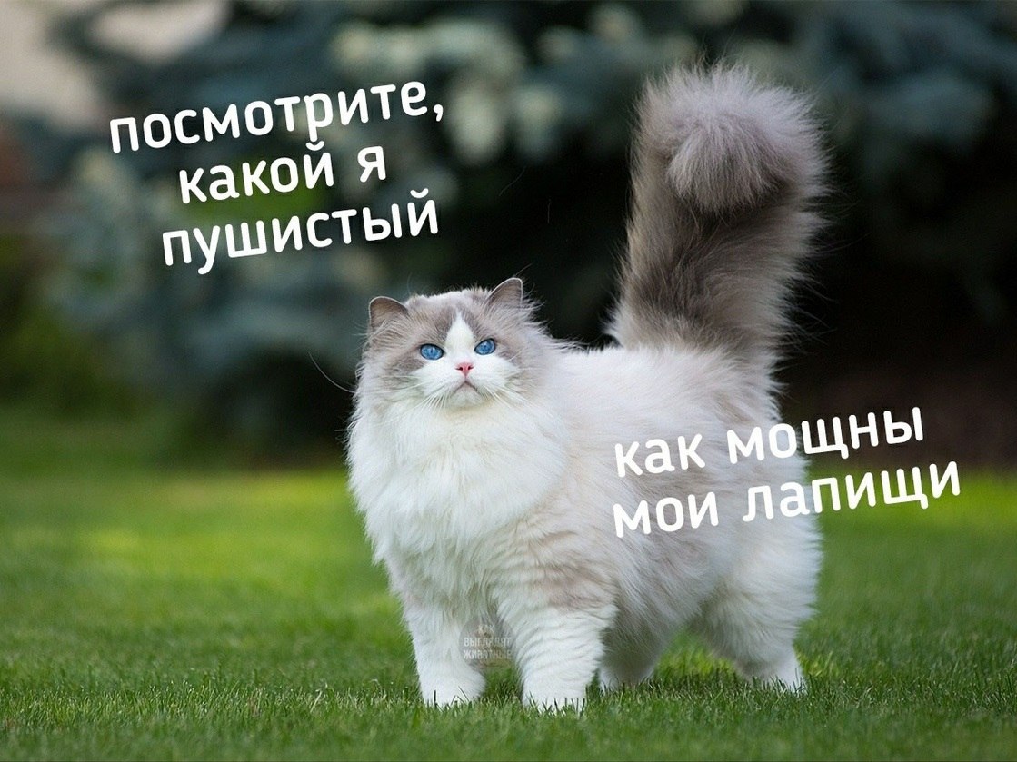 !  !