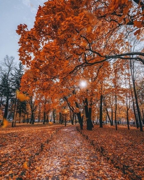 ce  ecapoco ca, ep - 6