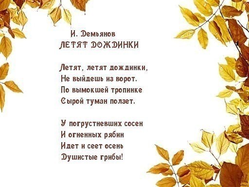      .       . ... - 3