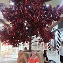 ���� &deg;&bull;��������&bull;&deg;, �����������, 60 ��� - ��������� 16 ���� 2018 � ������ ���� ����������