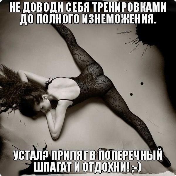 ������� | ���� 2016 | ������ | �������� | ������ - 22 ���� 2018 � 16:30