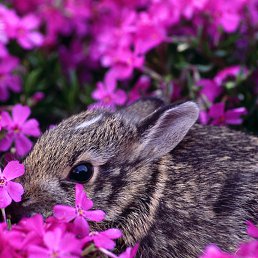 ���, ������, 27 ���