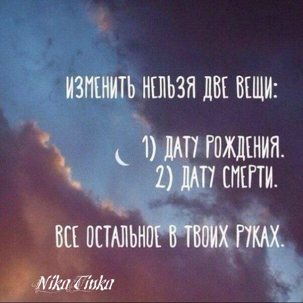 NikaTinka - 14  2018  21:54