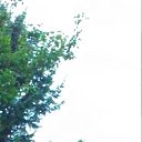 ���� �������, ���������, 42 ���� - ��������� 2 ������� 2018 � ������ ���� ����������