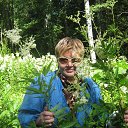 ���� ����, ������, 73 ���� - ��������� 21 ������ 2019 � ������ ���� ����������