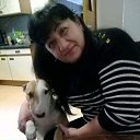 ���� ����, ��������������, 63 ���� - ��������� 14 ������� 2018 � ������ ���� ����������