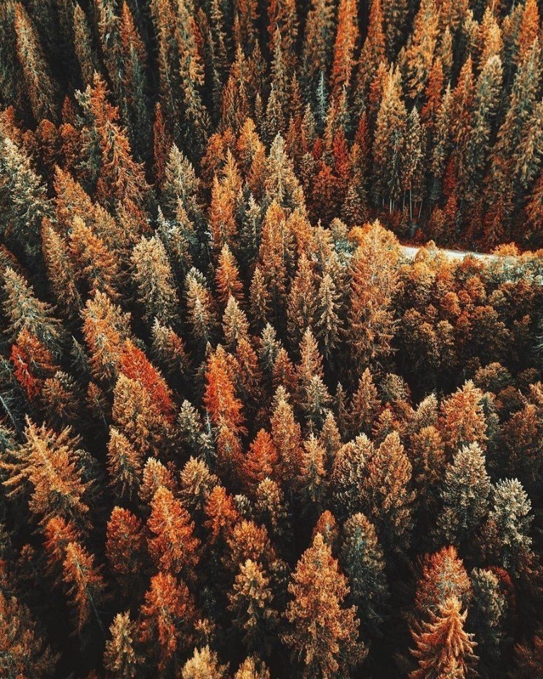   - 5