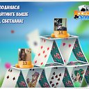 ���� Igor, ����� - ��������� 1 ������� 2018 � ������ �������� �������-�������