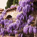 ���� �����, ������, 57 ��� - ��������� 29 ������� 2018 � ������ ���� ����������