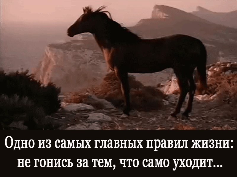 Кому-то или кем-то. Из тупика всегда есть один выход – надо просто развернуться и пойти в другую ...