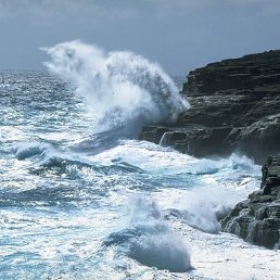 �., �������, 53 ����