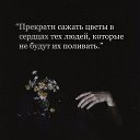 ���� �, ���������� - ��������� 6 ������ 2019 � ������ ���� ����������