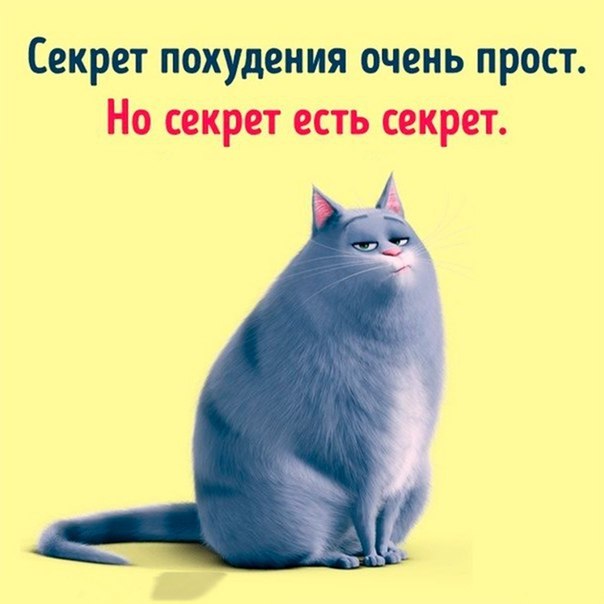 ~**~ - 11  2018  13:26