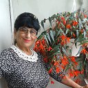 ���� �����, ����-��������� - ��������� 11 ������� 2019