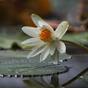 �������� https://fotostrana.ru/user/80624109/ �� ������� �****�