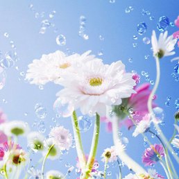 �������, �����������, 57 ���