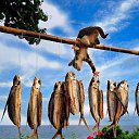 ���� ���������, �����-���������, 63 ���� - ��������� 25 ����� 2019 � ������ ������ ��������