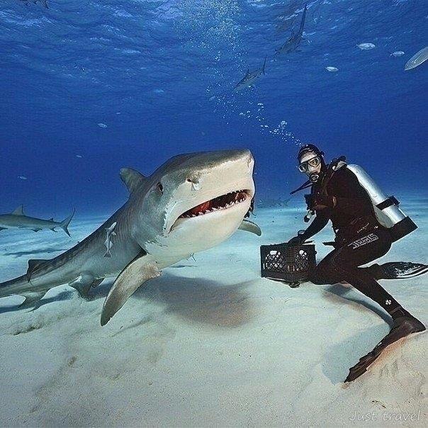 ��� �� ������ � ����...