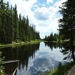 ���� ��������� �������� ����, ���������, 50 ��� - ��������� 23 ������� 2019