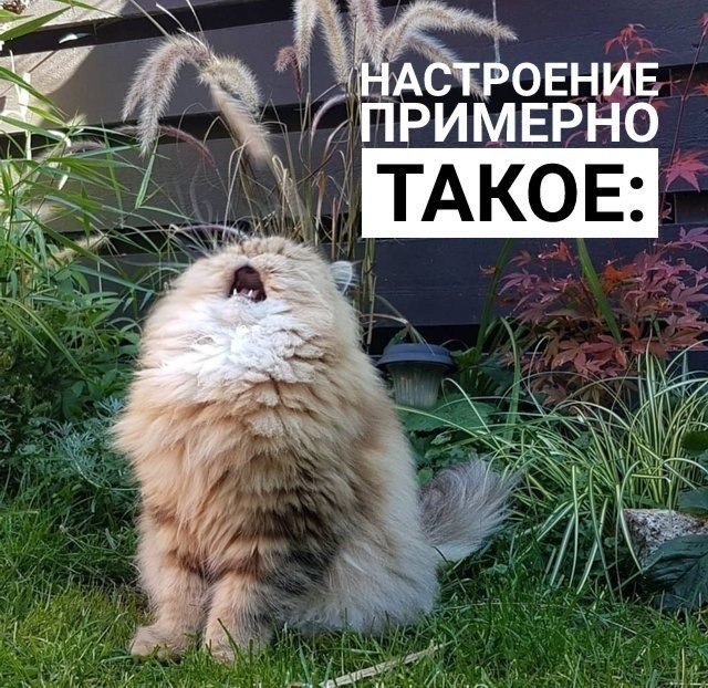   - 23  2018  16:56
