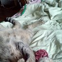���� Shkodina, ������ �������� - ��������� 6 ������ 2018 � ������ ���� �����