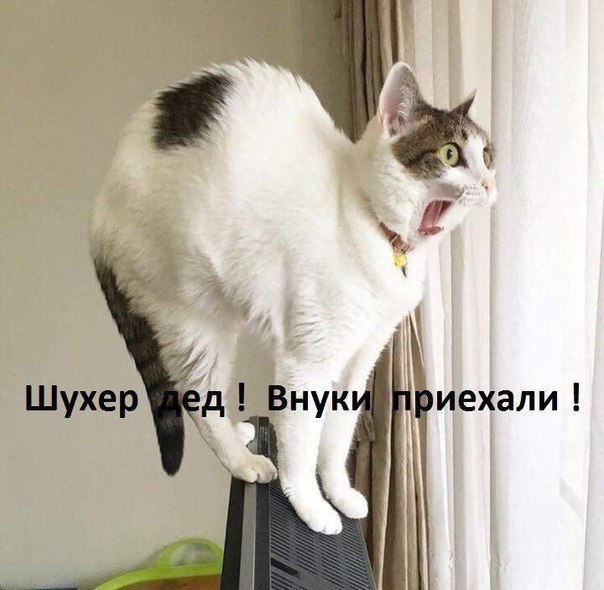    - 19  2019  03:47