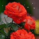  G, , 69  -  15  2019    